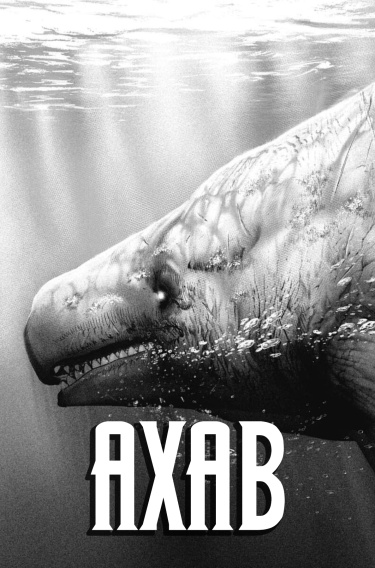 Обложка «Ахав»