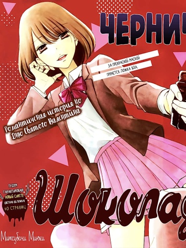 Обложка «Черничный шоколад»