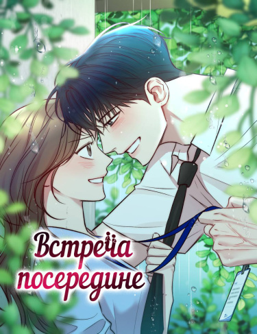 Обложка «Встреча посередине»