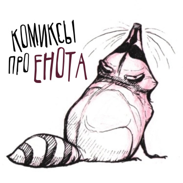 Обложка «Комиксы про енота»