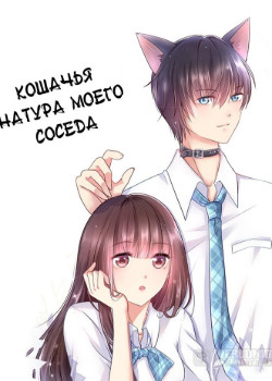 Обложка «Кошачья натура моего соседа»