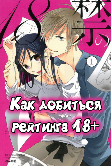 Обложка «Как добиться рейтинга 18+»