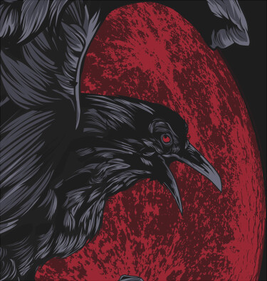 Логотип команды Nocturnal Crows