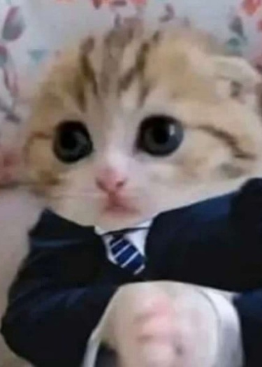 Логотип команды Whoa