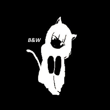 Логотип команды B&W