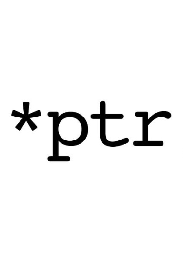 Логотип команды pointer to void