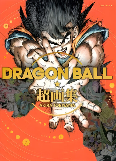 Логотип команды DRAGONBALL TRANSLATION