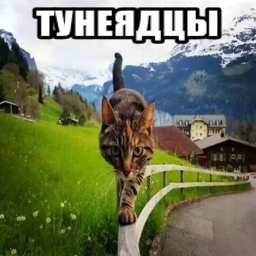 Логотип команды тунеядцы