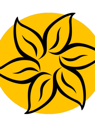 Логотип команды Acacias Team