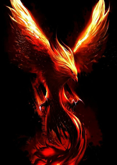 Логотип команды Asante Fenix