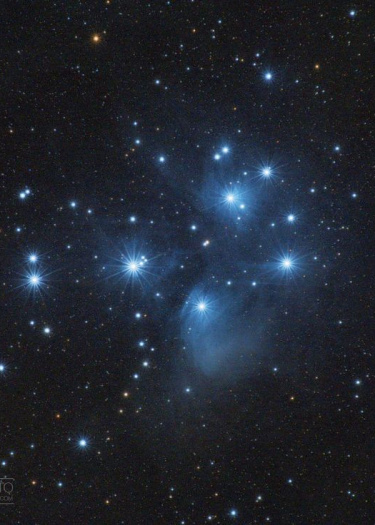 Логотип команды 「Blue Stars」