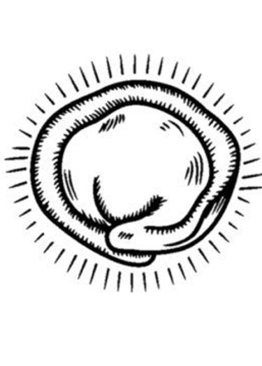 Логотип команды Бульмения