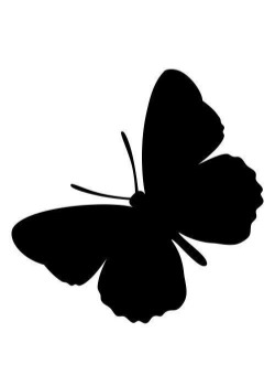 Логотип команды Butterfly Team
