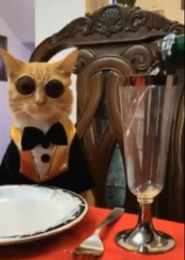 Логотип команды Catvolution