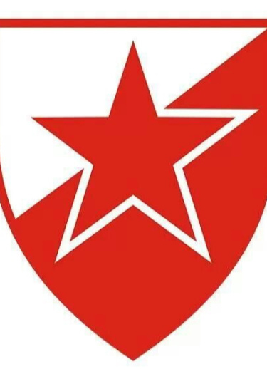 Логотип команды Serbian Translators (crvena zvezda)
