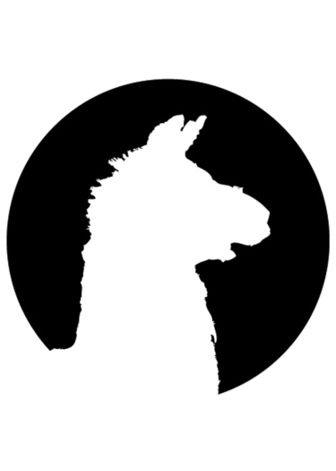 Логотип команды DRAMA LAMAS