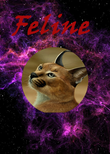Логотип команды Feline