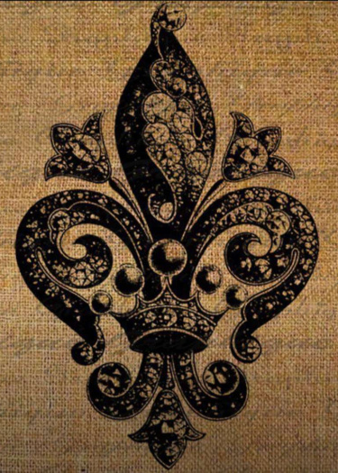Логотип команды Fleur de lys