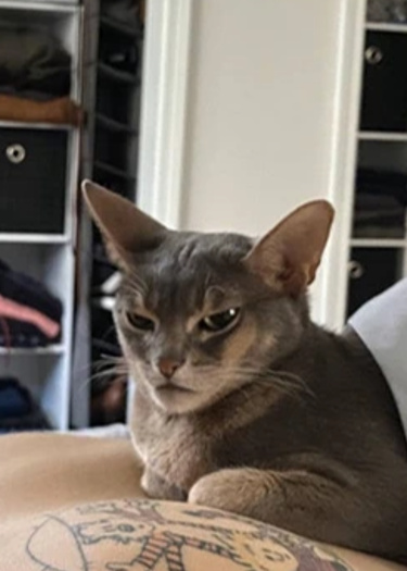 Логотип команды King Belial