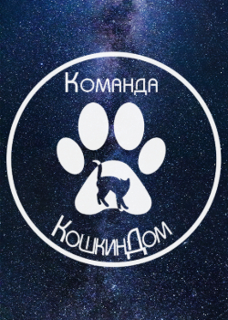 Логотип команды КошкинДом