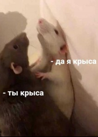 Логотип команды Крысиная братва