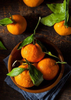 Логотип команды Мандариновые поэты
