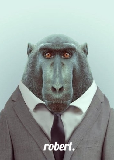 Логотип команды Monkey Team