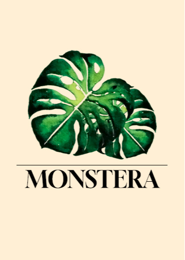 Логотип команды MONSTERA