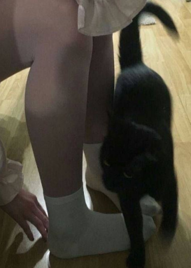 Логотип команды MeowInTheEntrance
