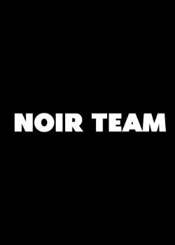 Логотип команды Noir Team