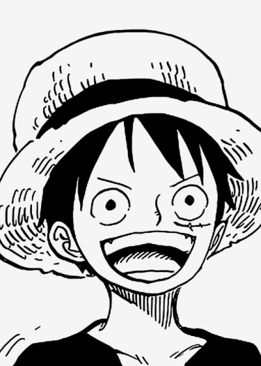 Логотип команды D ONE PIECE
