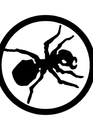 Логотип команды Prodigy Anthill