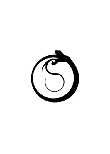 Логотип команды SanSara