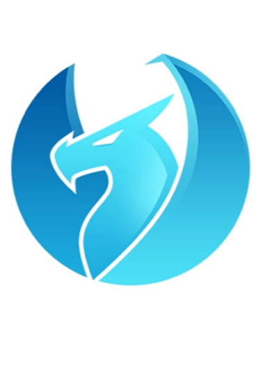 Логотип команды Sleeping Dragons Team