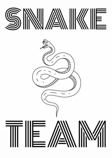 Логотип команды Snake Team