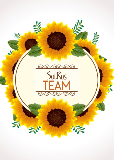 Логотип команды SolRos Team