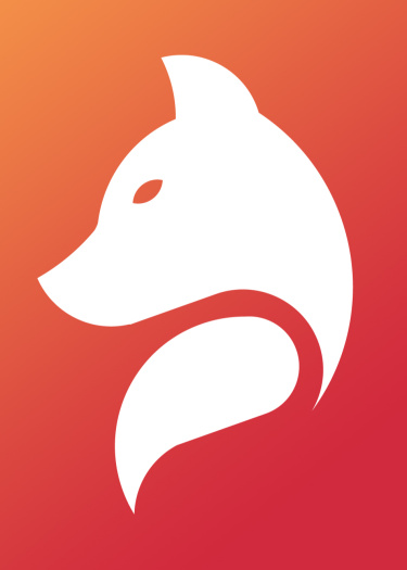 Логотип команды tfoxs