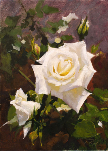 Логотип команды White Rose