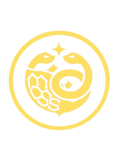 Логотип команды ZBS team