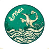 Логотип команды Funsea