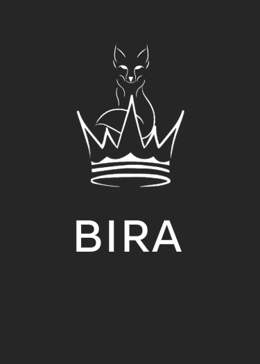 Логотип команды BIRA
