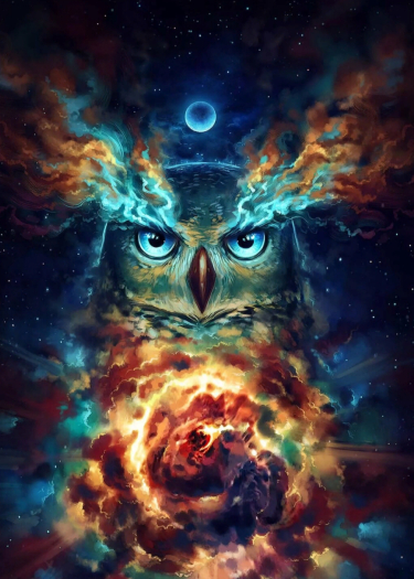 Логотип команды Team Of Owls