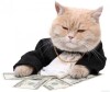 Логотип команды MoneyLover
