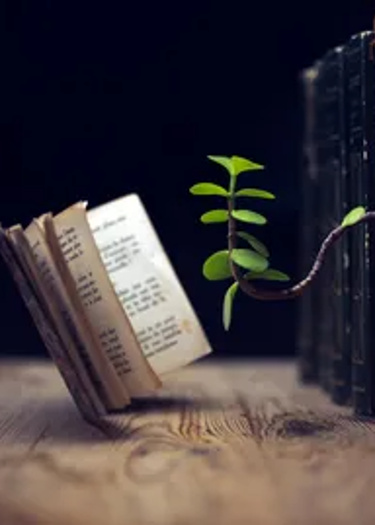 Логотип команды Gaining knowledge
