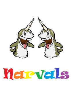 Логотип команды Narvals