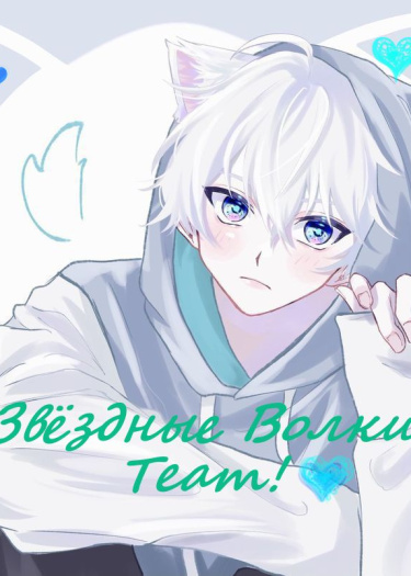 Логотип команды •Звёздные волки Team•