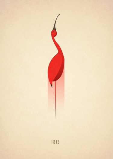 Логотип команды The wings of Ibis