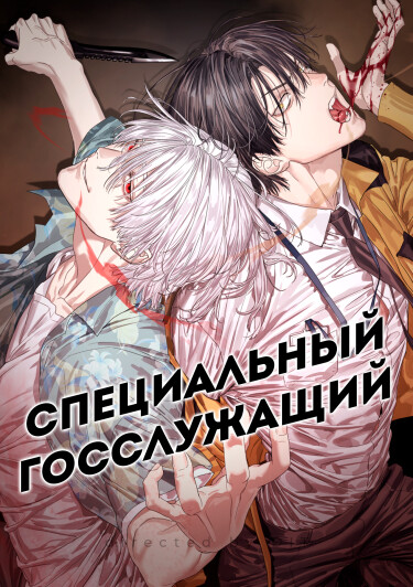 Обложка «Специальный госслужащий»