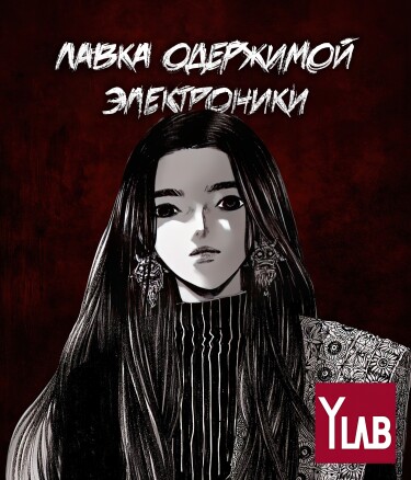 Обложка «Лавка одержимой электроники»