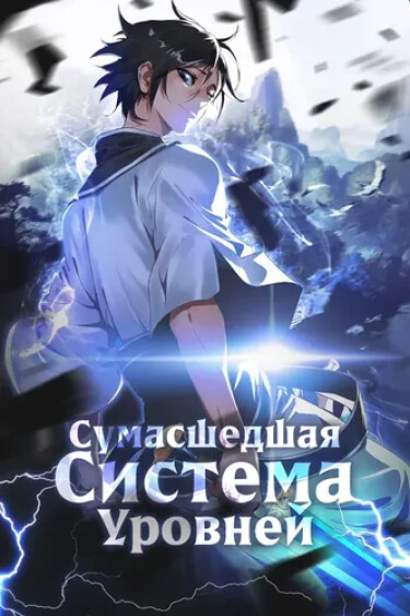 Обложка «Сумасшедшая Система Уровней»